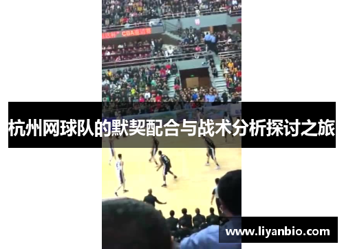 杭州网球队的默契配合与战术分析探讨之旅