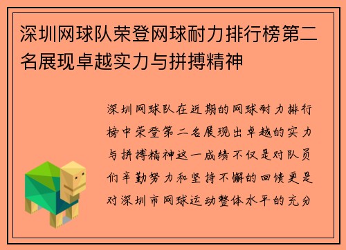 深圳网球队荣登网球耐力排行榜第二名展现卓越实力与拼搏精神