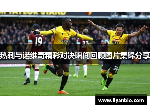 热刺与诺维奇精彩对决瞬间回顾图片集锦分享